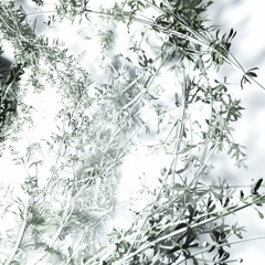 These Are The Words - Tomorrow Belong To Me Remix