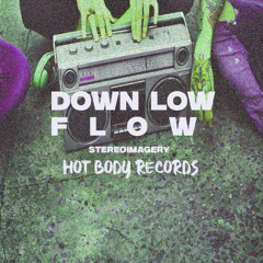 Down Low Flow (extended mix) - Stereoimagery