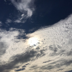 Psalms 詩篇 시편 찬송