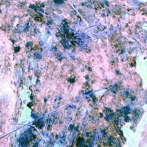 Forest Management - "Roof Music"