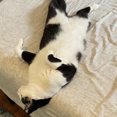 Gain staging? Limiters? What does any of that mean?