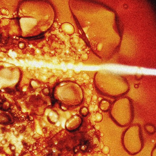 Stream BURN EVERYTHING by FATE Listen online for free on SoundCloud