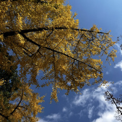 그러고도 (Even After Everything) (Ballad)