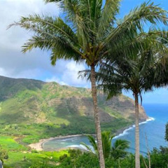 Review Special Price Molokai Day Trip From Maui