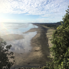 Torpedo Bay