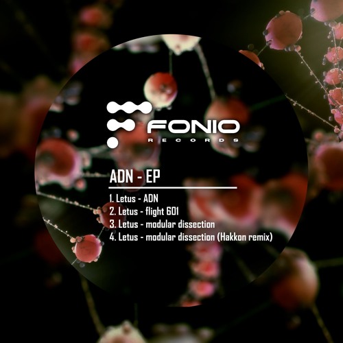 Letus - Modular Dissection (Hakkon Remix)