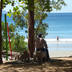 Absconded With the Bag, December 2025