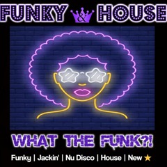 Funky & House Mix 2023 ⭐ What the Funk is Nu?! ⭐ Crazibiza | Jay Vegas | Softmal