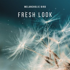 Fresh Look (Chillstep/Future Garage)