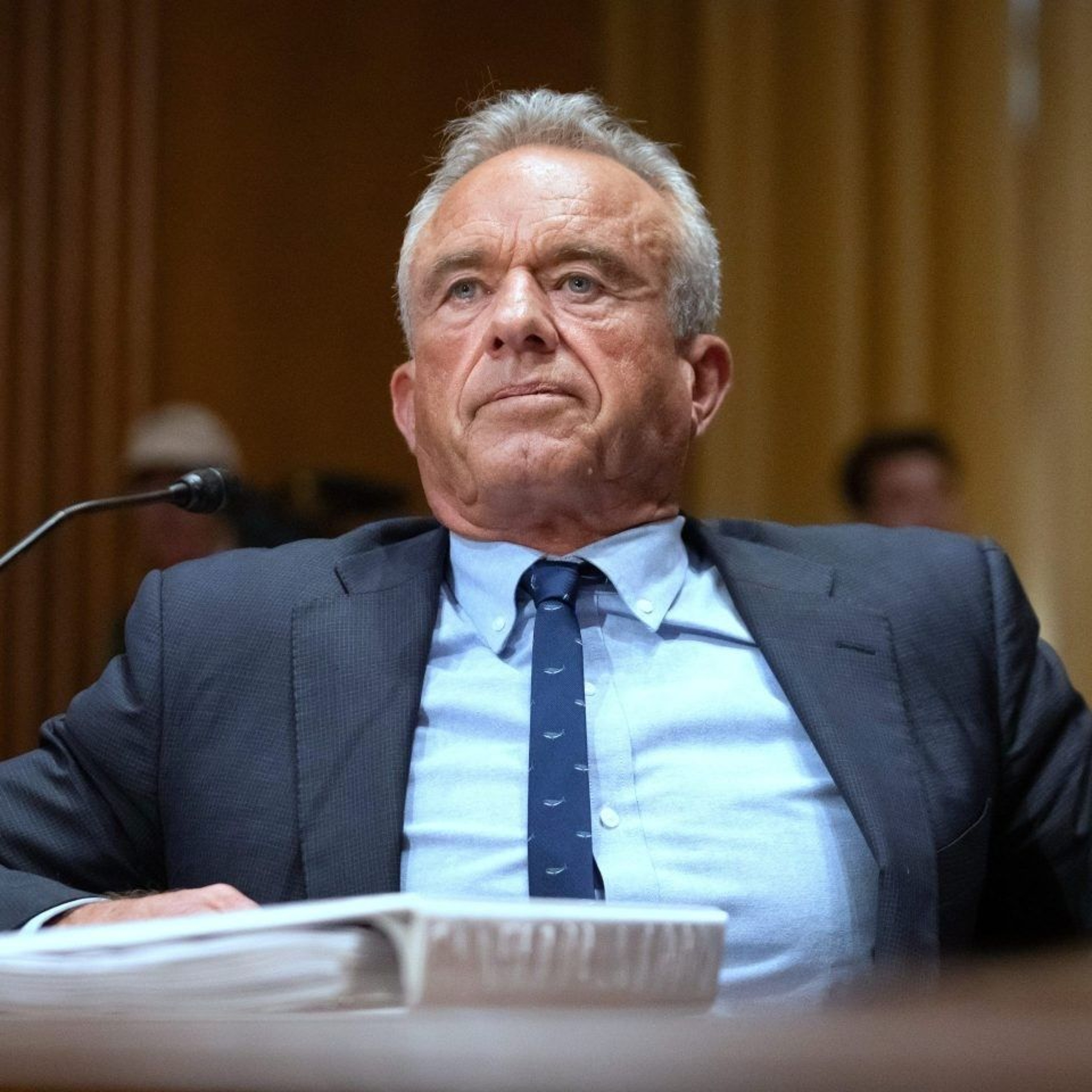 Warning_This post  contains three potentially triggering terms_Penis_Autism_and Robert F Kennedy Jr episode artwork