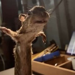 PIPE DOWN (FEAT. ODD EARTHLING)