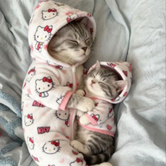 halo curse (feat. Bruxely!) (prod. peril)