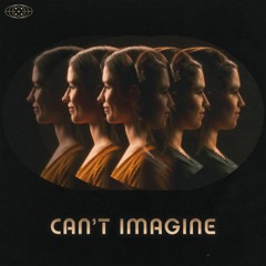 Can't Imagine (Without You)