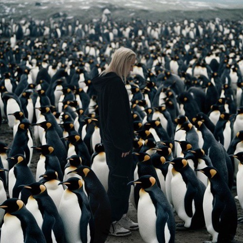 STAKON (feat. Polyana)