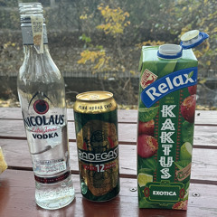 skolnikuv recept