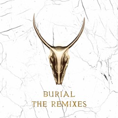 Burial (Skrillex & Trollphace Remix)