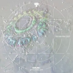 VCR @ GIMIC - 20 December 2024