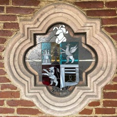 varado 21 - Maippo, Antifama