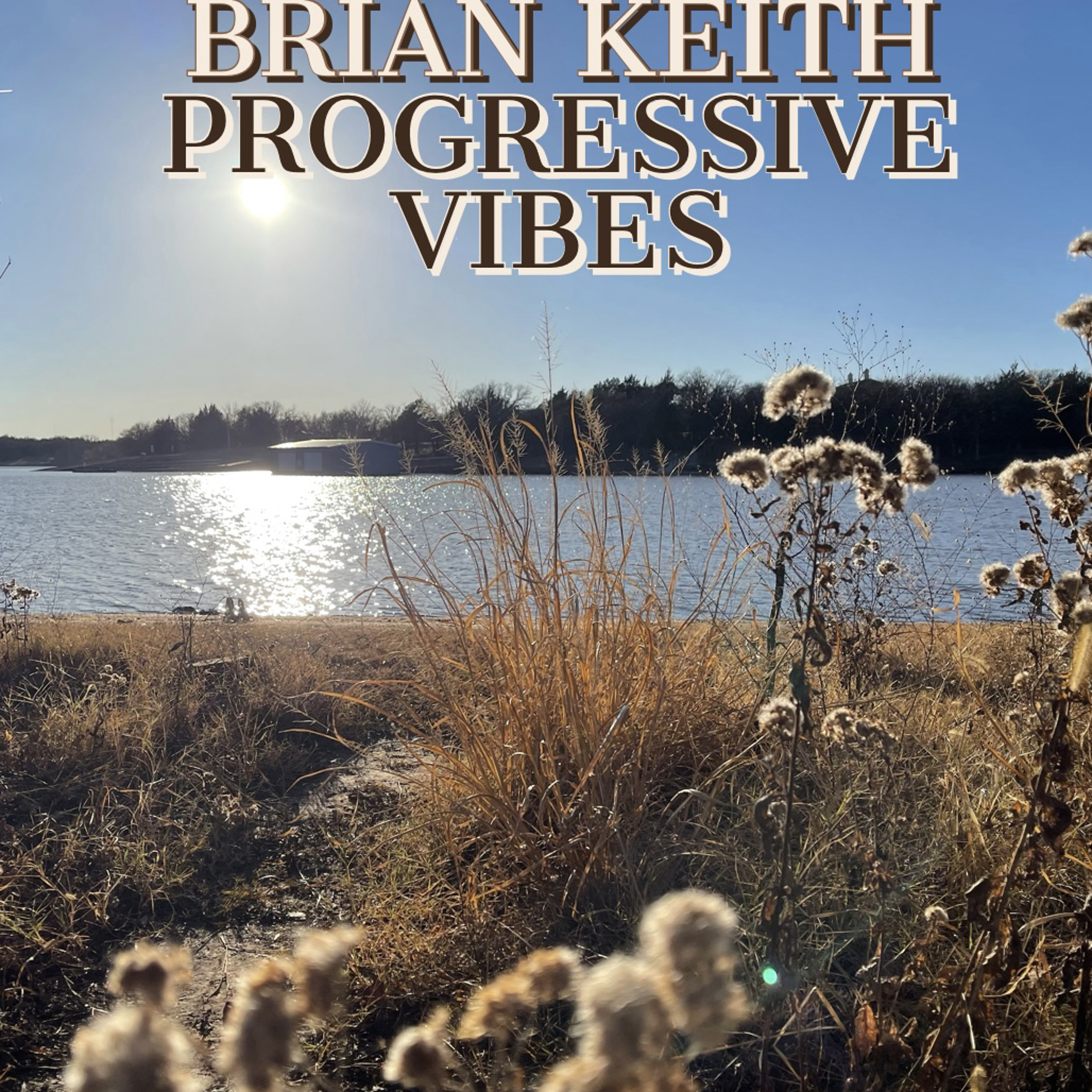 Brian Keith - Progressive Vibes
