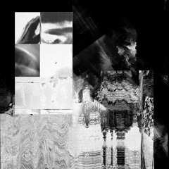 Pulse [Free Download]