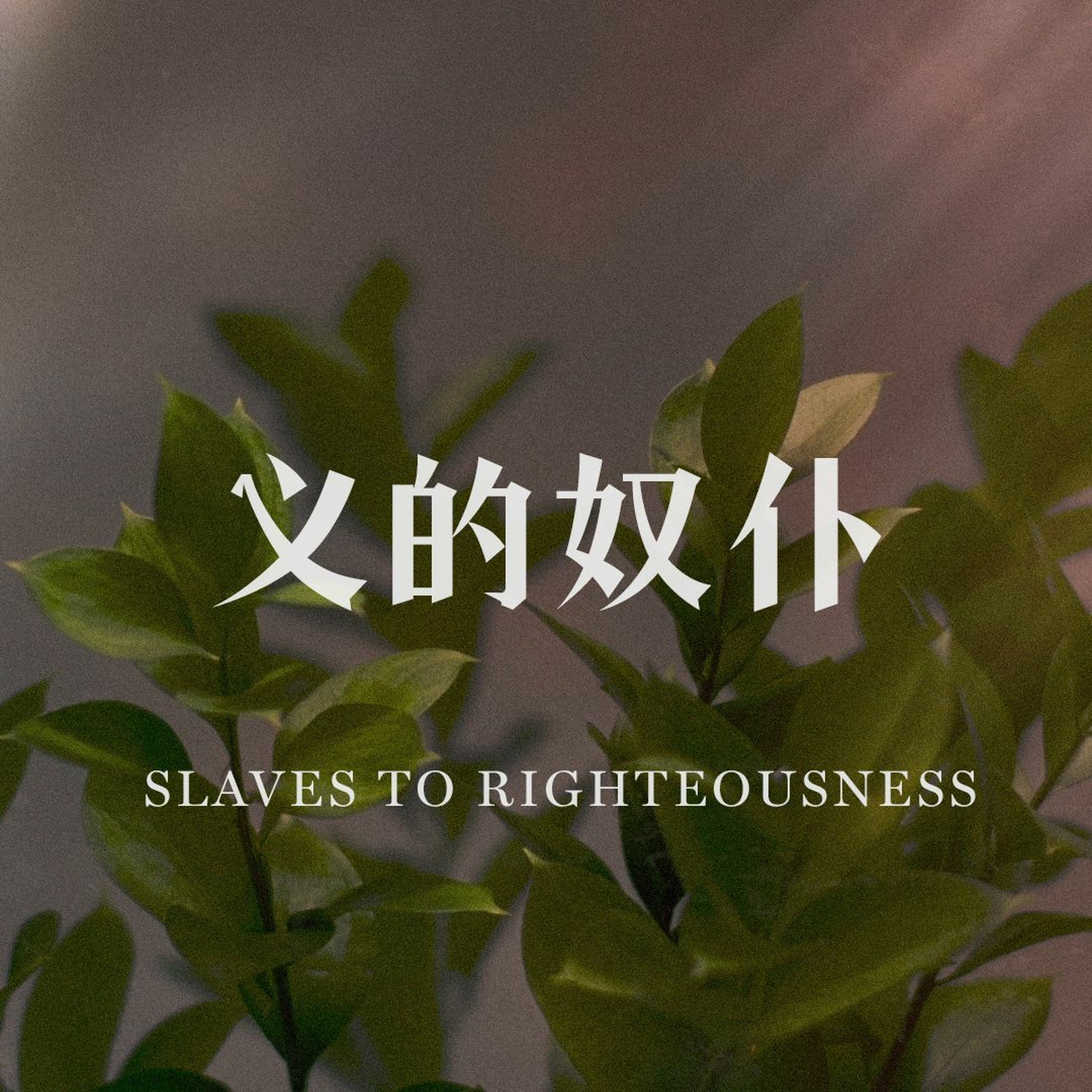 04/28/2024 【罗马书】义的奴仆（下）（罗 6:15-23）——王唯权 牧师 episode artwork