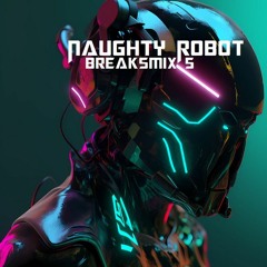 Naughty Robot - BreaksMix5 - Mp3