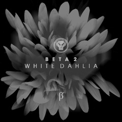 Beta 2 - Carter [Premiere]