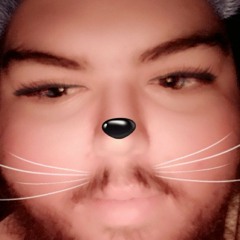 stretchymusclefibers