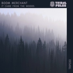 PREMIERE: Boom Merchant - Rise Of The Fax Machine [Tribal Pulse]