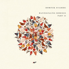 Dominik Eulberg - Eintagsfliege (Donato Dozzy Remix)