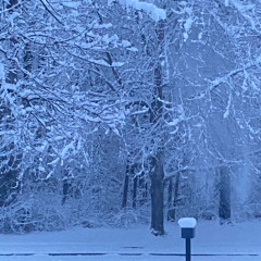 This Must Be the Place 4 - 12_23_25, 5.45 PM