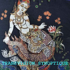 Darwill - Trance - Set - TransVision Synoptique 1