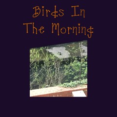 Birds In The Morning