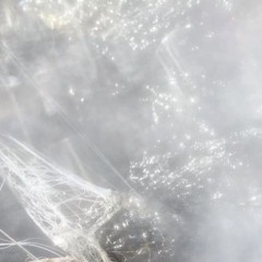 translucent (@discordsquad2k)