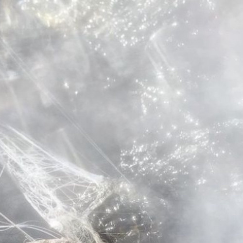 translucent (@discordsquad2k)