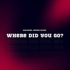 WHERE DID YOU GO - MANUEL SCIGLIANO