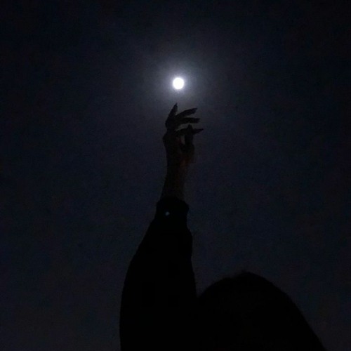 taylor swift - cardigan (instrumental)