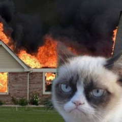 Burn It Down