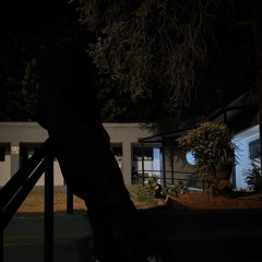 detachments w/SER3NITY