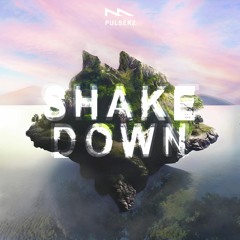 Pulserz - Shake Down