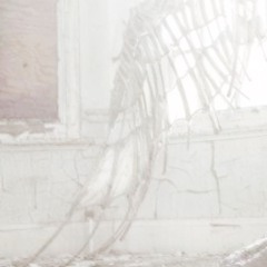 ⌜ sweet poison ⌟ beats by con