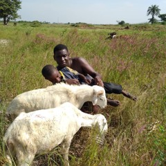 violet (hole) (12str., finger)