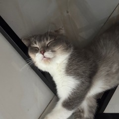 No name 07