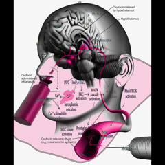 OXT {eusexua/disease}