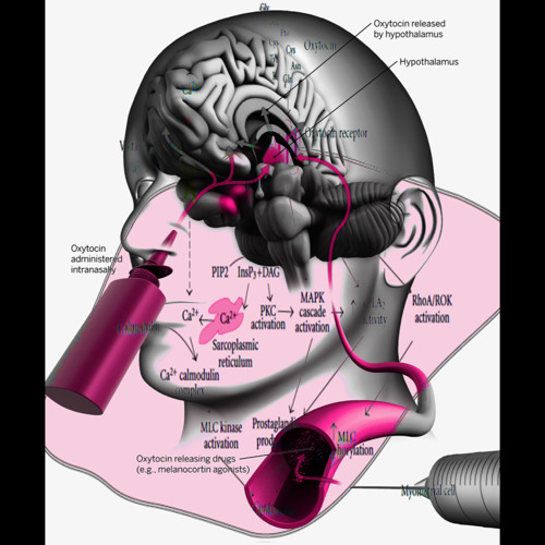 OXT {eusexua/disease}