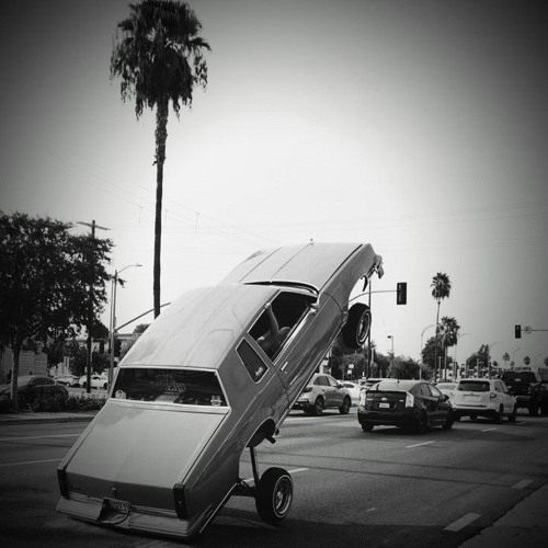 MAN LIKE ILZ [VOL 2]