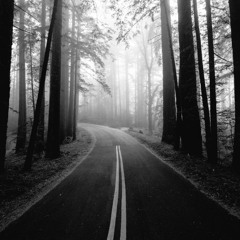 De Helaasheid Der Dingen