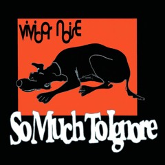 So Much To Ignore by Vividor Noise