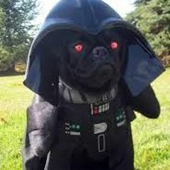 Electronic Chill Bass Trap Lo-Fi Chillout Relax Mind Melt Tunes