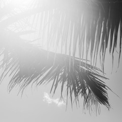 closedoor (prod. ghowste)